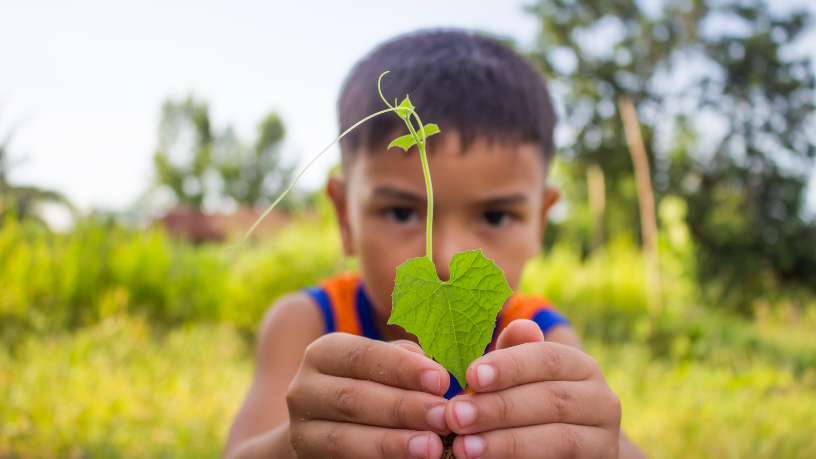 Experiências Ecológicas: Para Lina Rosa Gomes Vieira da Silva, nossas oficinas educam e encantam.