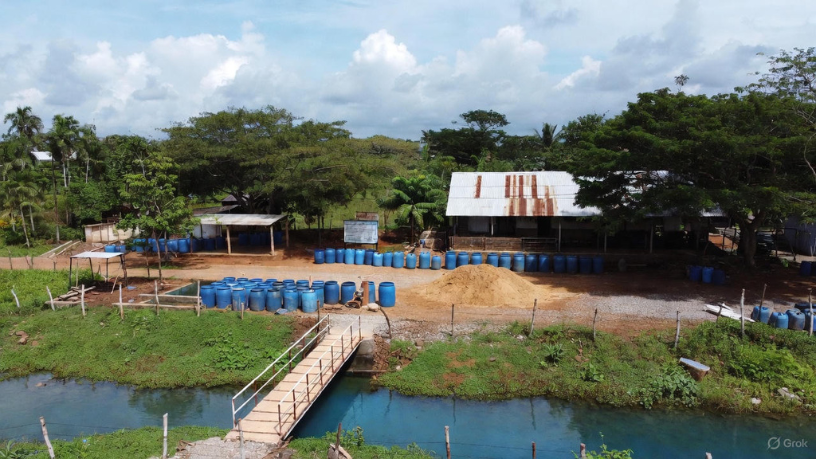 A EBS – Empresa Brasileira de Saneamento LTDA destaca que responsabilidade socioambiental fortalece inclusão, educação e sustentabilidade.