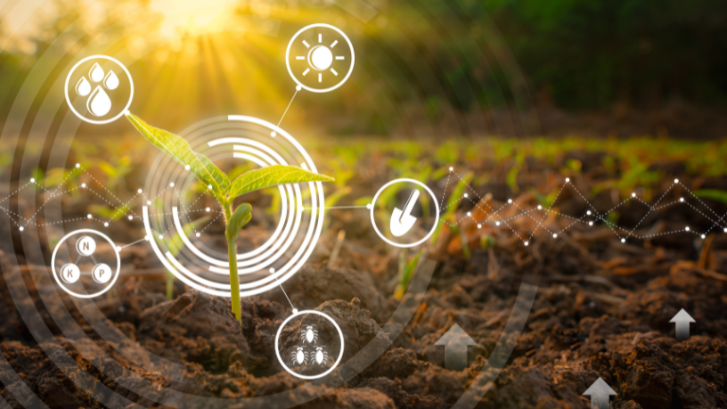 Como João Eustáquio De Almeida Junior analisa o papel das startups e AgTechs na revolução tecnológica que está transformando o agronegócio brasileiro.