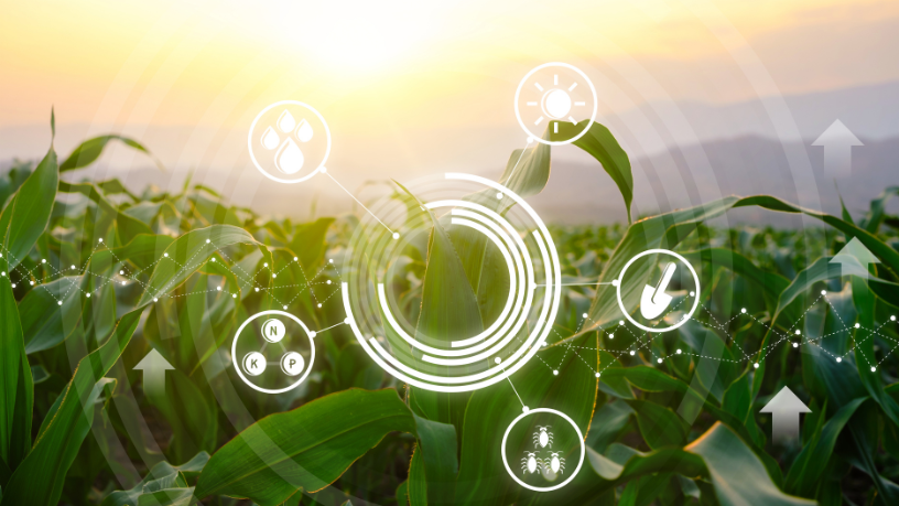 Startups e AgTechs ganham destaque no agronegócio brasileiro em uma visão estratégica apresentada por João Eustáquio De Almeida Junior.